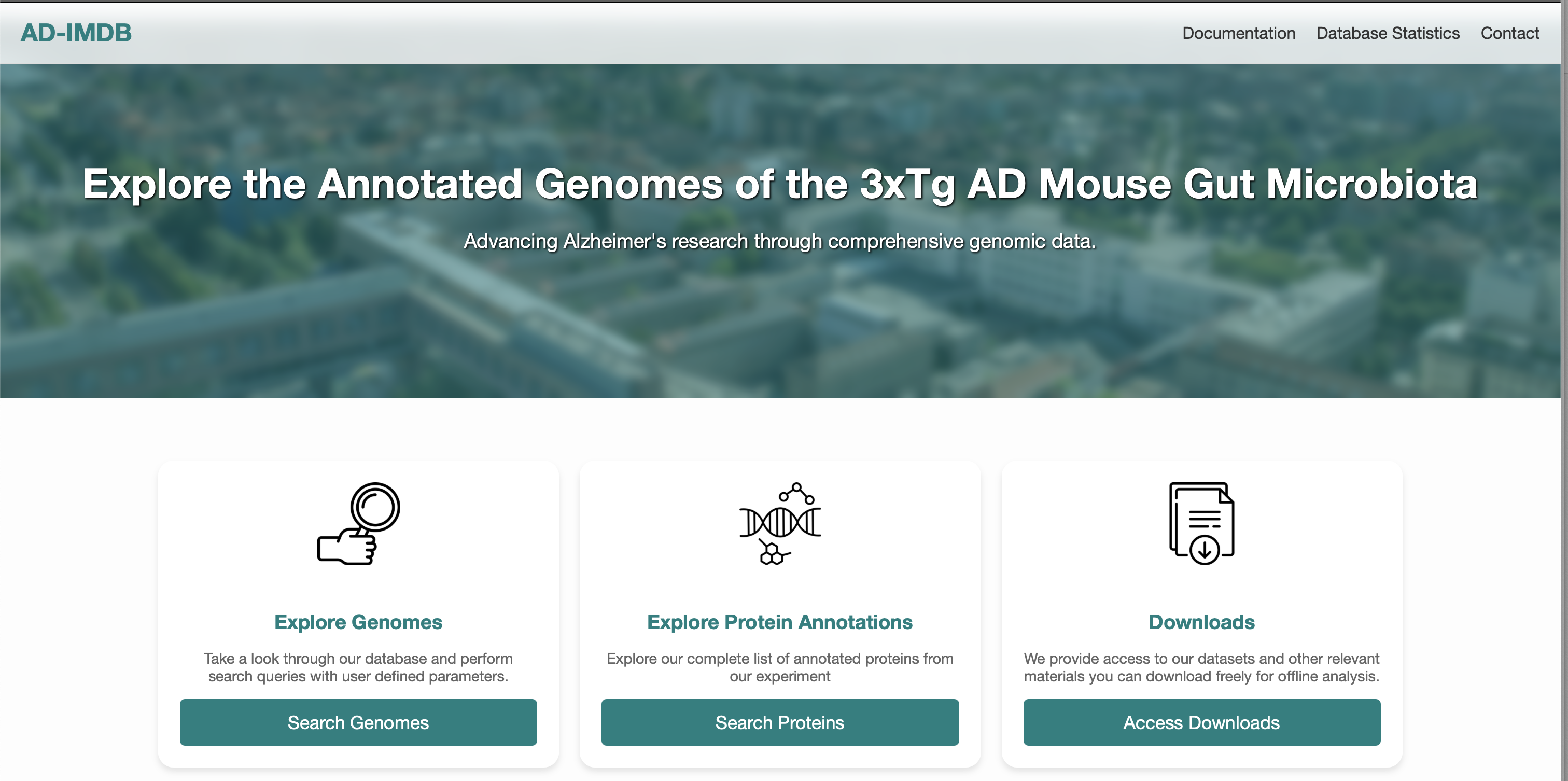Homepage Overview